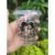images (3) Sablon Cup Plastik PET 14 oz Datar + Tutup - Isi 1000 Pcs (Logo 1 Warna) gratis desain